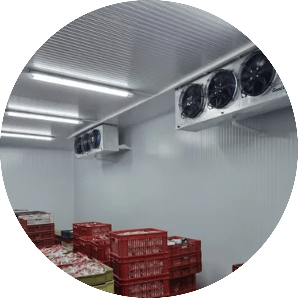 ecoTherm techo